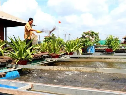 Người nông dân thành công với mô hình nông nghiệp kết hợp du lịch