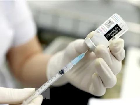 Tòa án Đức xem xét các đơn khiếu nại liên quan tiêm vaccine COVID-19