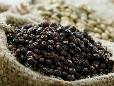 Trung Quốc tiếp tục là thị trường xuất khẩu hồ tiêu chính của Việt Nam