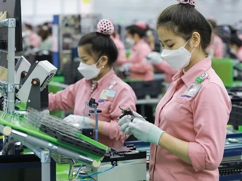 Chủ tịch của 5 tập đoàn hàng đầu Hàn Quốc tới Việt Nam