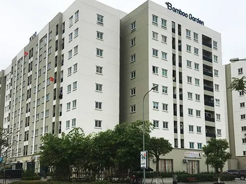 Phát triển nhà ở xã hội cần phù hợp tình hình thực tế