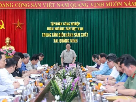 Thủ tướng chỉ đạo bảo đảm cung ứng đủ điện cho sản xuất và tiêu dùng của nhân dân