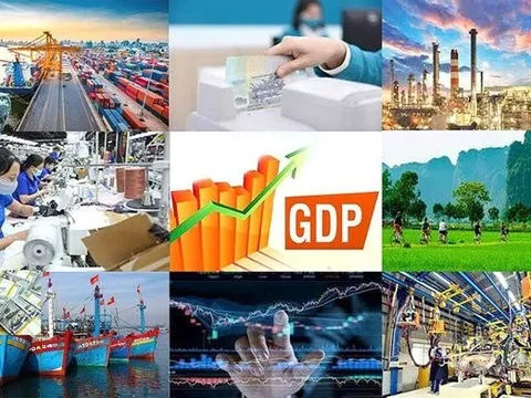 Ngân hàng Thế giới hỗ trợ Việt Nam 263,9 triệu USD phục hồi bao trùm và bền vững