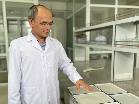 Hà Nội có nguy cơ thành “điểm nóng” sốt xuất huyết