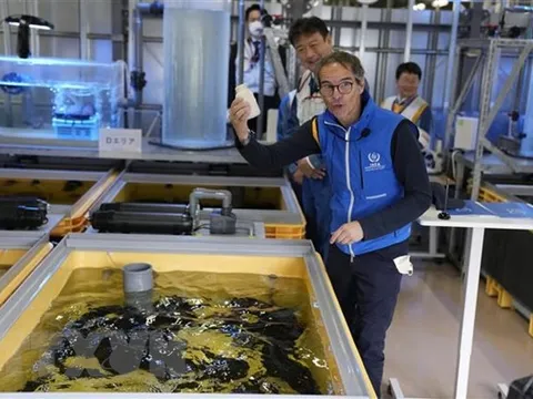 Xả nước thải Fukushima tác động "không đáng kể" tới Hàn Quốc