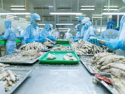 Xuất khẩu cá ngừ đóng hộp sang EU tăng 71%