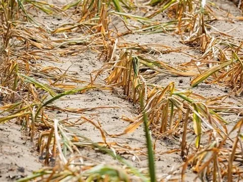 Biến đổi khí hậu là mối quan ngại hàng đầu của thế giới