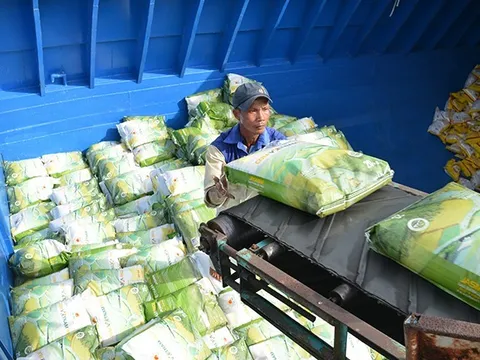 Thị trường EU ưa chuộng hạt gạo Việt