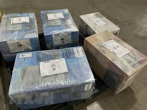 Chủ động phòng ngừa, ngăn chặn hoạt động vận chuyển hàng cấm qua đường hàng không