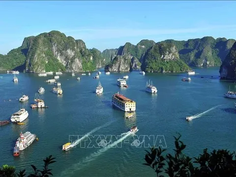 Từ 11 - 13/7 diễn ra 'Những ngày Văn hóa Nga' tại Hạ Long