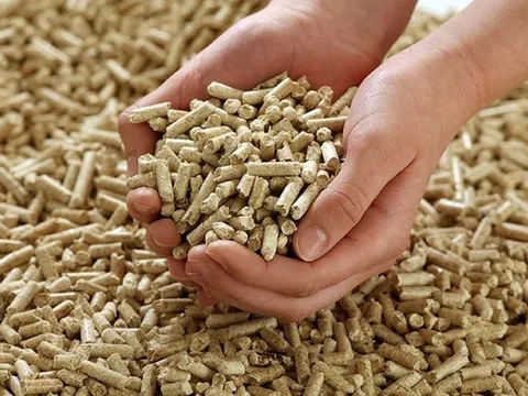 Khả quan thị trường xuất khẩu viên nén gỗ