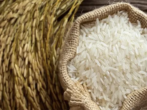 Giá gạo Việt tăng cao, ngành nông nghiệp tận dụng cơ hội xuất khẩu