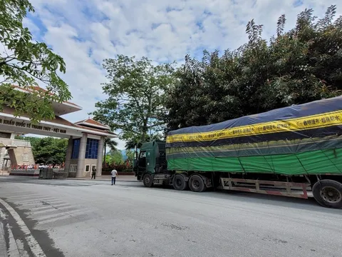 Cửa khẩu quốc tế Thanh Thủy giảm phí dịch vụ để thúc đẩy hoạt động xuất nhập khẩu