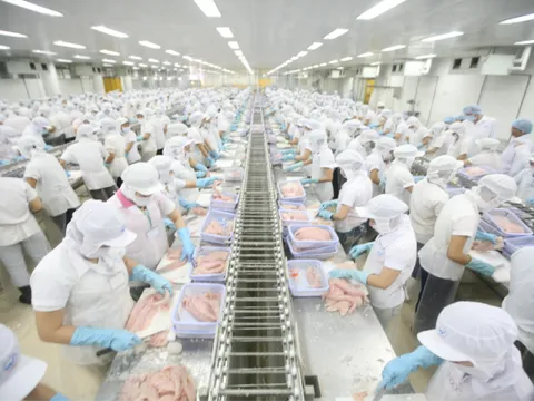 Khai phá tiềm năng, thúc đẩy hợp tác kinh tế thương mại Việt Nam - Áo