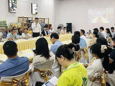 Xúc tiến đưa nông sản Việt lên sàn thương mại điện tử Trung Quốc