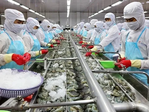 FTA Việt Nam-Israel: Mở cánh cửa cho hàng Việt Nam thâm nhập thị trường Trung Đông
