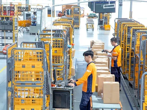 Thương mại điện tử “Xanh hóa” nhờ bao bì thân thiện môi trường