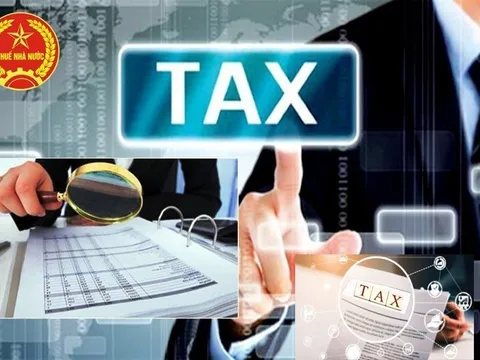 Kiên quyết dừng hoàn thuế đối với doanh nghiệp có hành vi cố tình vi phạm sử dụng hóa đơn điện tử