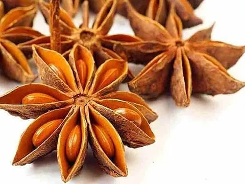 Công điện của Thủ tướng Chính phủ về việc hỗ trợ các doanh nghiệp xuất khẩu hồ tiêu sang thị trường UAE