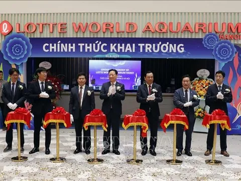 Thủy cung Lotte World Hà Nội chính thức đi vào hoạt động