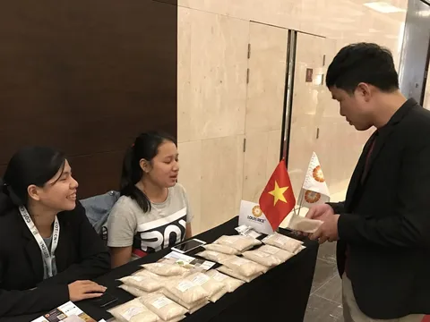 Chuyên gia: Doanh nghiệp xuất khẩu gạo cần tính chuyện đường dài
