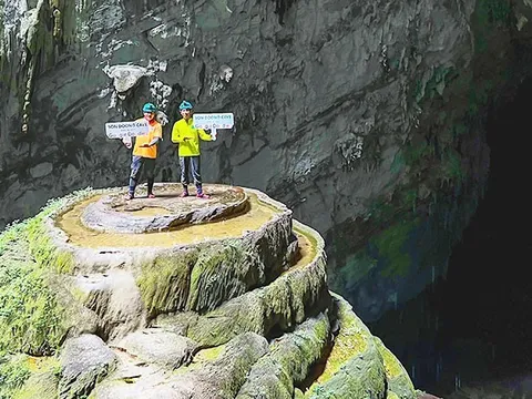 Khám phá bí ẩn dưới những cánh rừng
