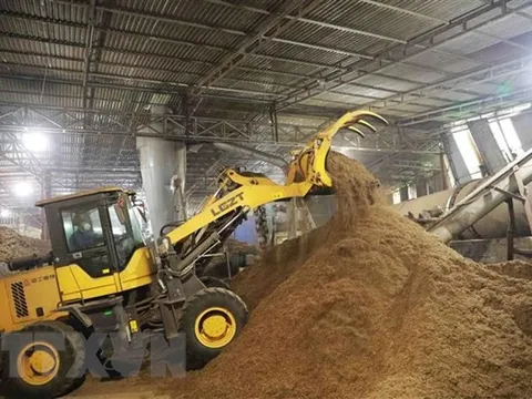 Việt Nam còn nhiều dư địa tăng trưởng xuất khẩu viên nén gỗ