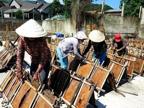 Xúc tiến, mở rộng thị trường xuất khẩu cho dược liệu Việt Nam