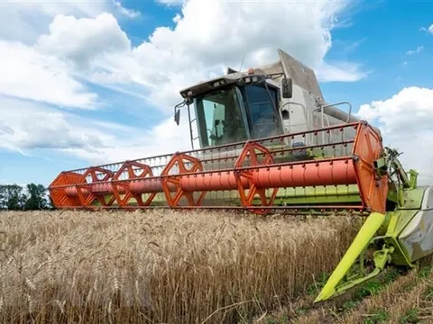 Liên hợp quốc và Nga thảo luận về xuất khẩu ngũ cốc và phân bón