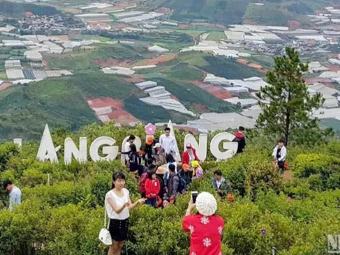 Trượt ngã tại khu du lịch ở Lâm Đồng, nữ du khách nước ngoài tử vong