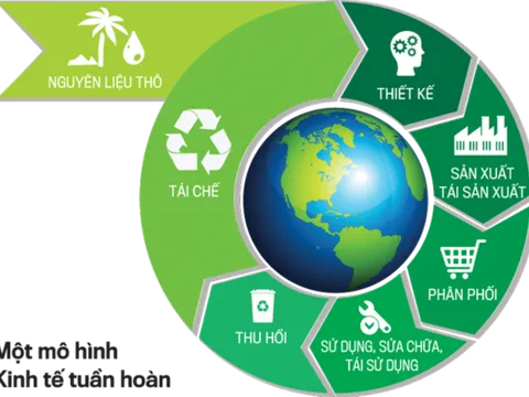 Lấy ý kiến dự thảo Quyết định Kế hoạch hành động quốc gia thực hiện kinh tế tuần hoàn đến năm 2030
