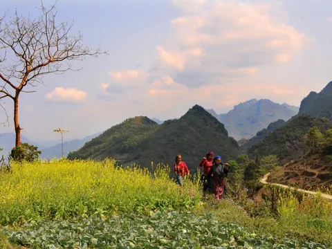 Bí kíp đi du lịch Tà Xùa từ A-Z không thể bỏ qua