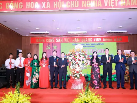 Vĩnh Phúc tổ chức Ngày hội Đại đoàn kết và khánh thành các công trình Làng văn hóa kiểu mẫu