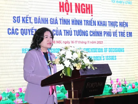 Tổng kết, đánh giá tình hình triển khai thực hiện các Quyết định của Thủ tướng Chính phủ về trẻ em 