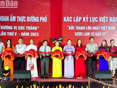 Sóc Trăng: Trưng bày bức tranh gạo ST25 xác lập kỷ lục Việt Nam