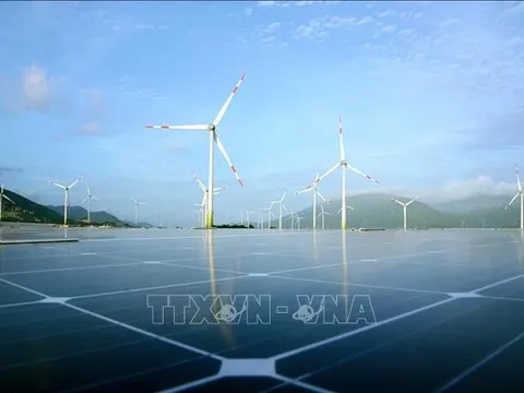 Loạt chính sách mới về kinh tế có hiệu lực từ tháng 12/2023