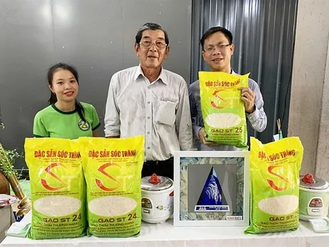 Thêm 2 loại gạo được hưởng ưu đãi thuế quan khi xuất khẩu vào EU: Gia tăng cơ hội tận dụng EVFTA