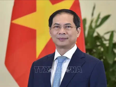 Bộ trưởng ngoại giao Bùi Thanh Sơn trả lời phỏng vấn trước thềm Hội nghị Ngoại giao lần thứ 32