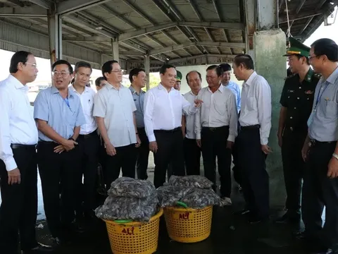 Mở đợt cao điểm chống khai thác bất hợp pháp để tháo gỡ "thẻ vàng" IUU