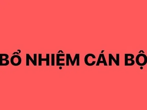 Thủ tướng bổ nhiệm, bổ nhiệm lại lãnh đạo ba cơ quan