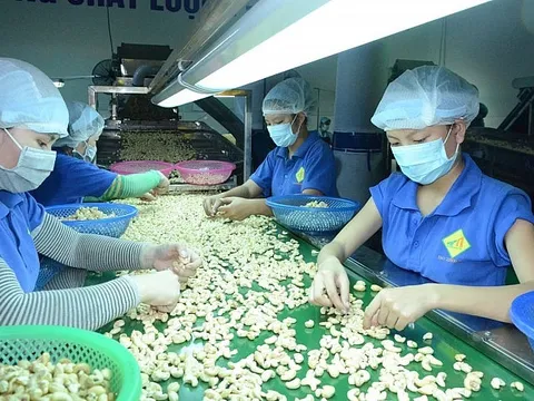 Xuất nhập khẩu năm 2023 chính thức cán mốc 683 tỷ USD
