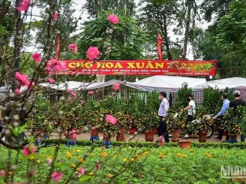 Hội Xuân Giáp Thìn 2024 sẽ diễn ra vào ngày 26/1