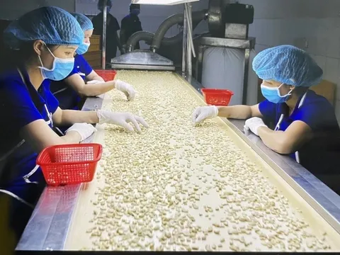 Ngành điều Việt Nam kỳ vọng chuyển động tích cực trong năm 2024