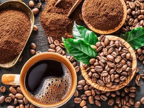 Dự báo xuất khẩu cà phê cả năm 2023 ước đạt 1,606 triệu tấn
