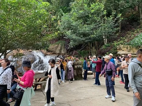 8 hướng dẫn viên du lịch bị xử phạt vì để người Hàn Quốc hướng dẫn đoàn khách