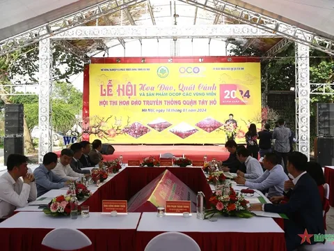 Hà Nội lần đầu tiên tổ chức Hội thi hoa đào, quất cảnh truyền thống và sản phẩm OCOP các vùng miền
