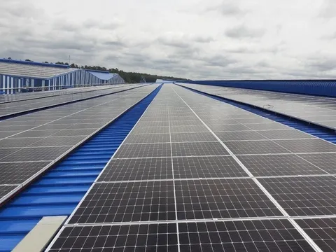 Việt Nam, EU và Bỉ thúc đẩy hợp tác xanh, bền vững