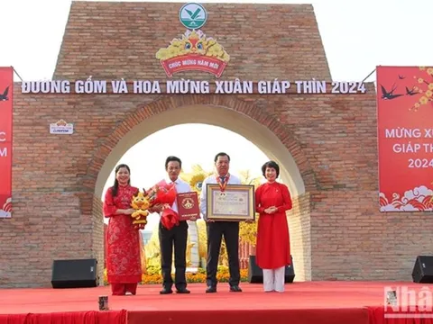 Đường gốm đỏ và hoa Vĩnh Long được xác lập kỷ lục Việt Nam