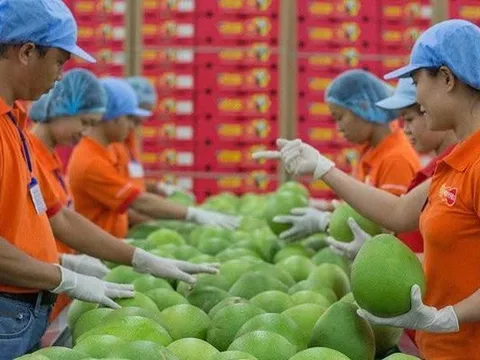 EU tiếp tục ban hành quy định về dư lượng thuốc bảo vệ thực vật với hàng nông sản