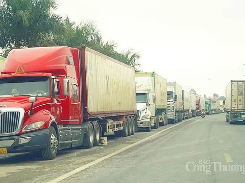 Ngày 14/2, cửa khẩu Hữu Nghị và Tân Thanh chính thức hoạt động trở lại